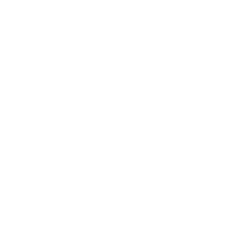 WP Focus