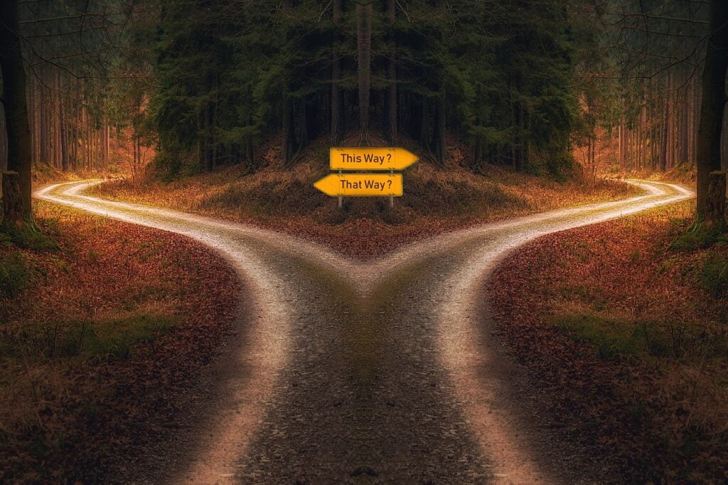 How to Choose the Perfect Theme on Themeforest