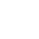 Custom WordPress Theme Developer