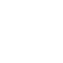 Website Launch