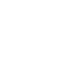 WordPress Training