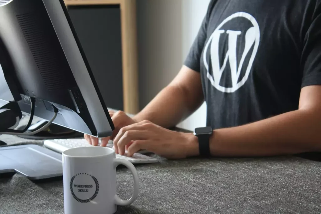 Hire a Professional WordPress Developer